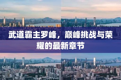 武道霸主羅峰，巔峰挑戰(zhàn)與榮耀的最新章節(jié)