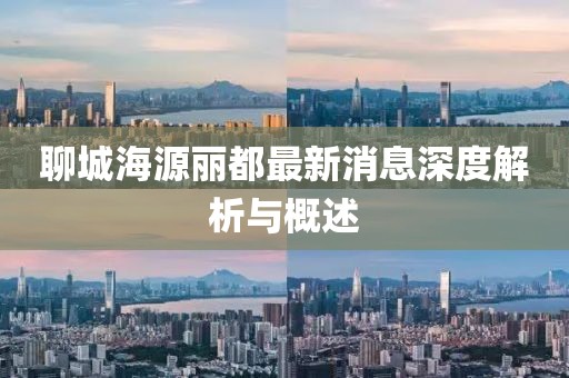 聊城海源麗都最新消息深度解析與概述