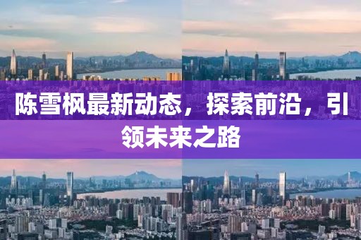 陳雪楓最新動態(tài)，探索前沿，引領未來之路