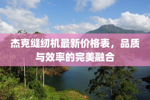 杰克縫紉機(jī)最新價格表，品質(zhì)與效率的完美融合