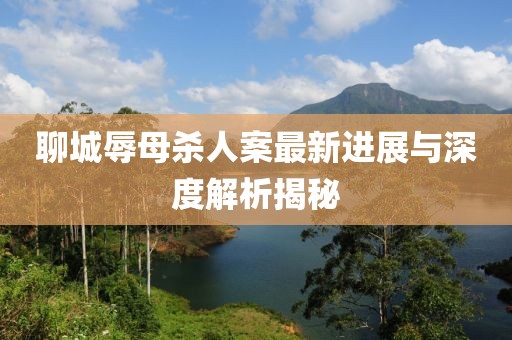 聊城辱母殺人案最新進(jìn)展與深度解析揭秘