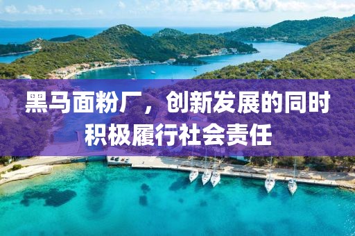 黑馬面粉廠，創(chuàng)新發(fā)展的同時(shí)積極履行社會(huì)責(zé)任