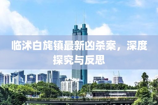 臨沭白旄鎮(zhèn)最新兇殺案，深度探究與反思