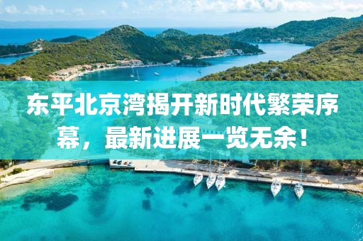 東平北京灣揭開(kāi)新時(shí)代繁榮序幕，最新進(jìn)展一覽無(wú)余！