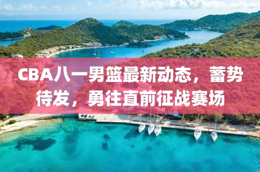 CBA八一男籃最新動(dòng)態(tài)，蓄勢(shì)待發(fā)，勇往直前征戰(zhàn)賽場(chǎng)
