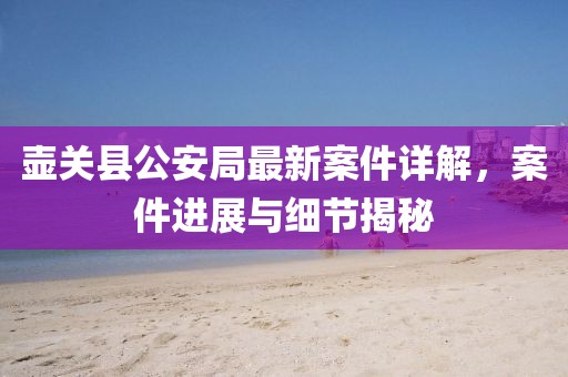 壺關(guān)縣公安局最新案件詳解，案件進(jìn)展與細(xì)節(jié)揭秘