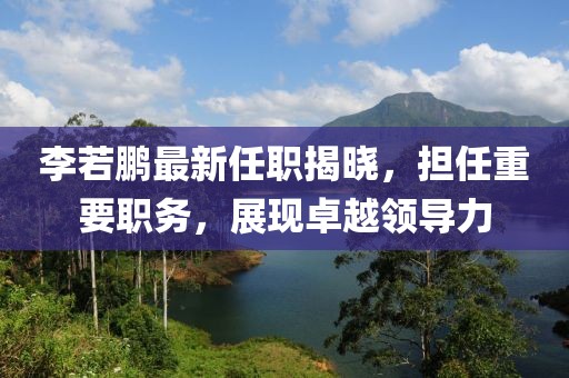 李若鵬最新任職揭曉，擔(dān)任重要職務(wù)，展現(xiàn)卓越領(lǐng)導(dǎo)力
