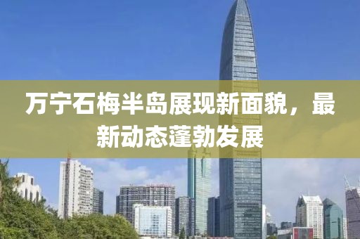 萬寧石梅半島展現(xiàn)新面貌，最新動態(tài)蓬勃發(fā)展