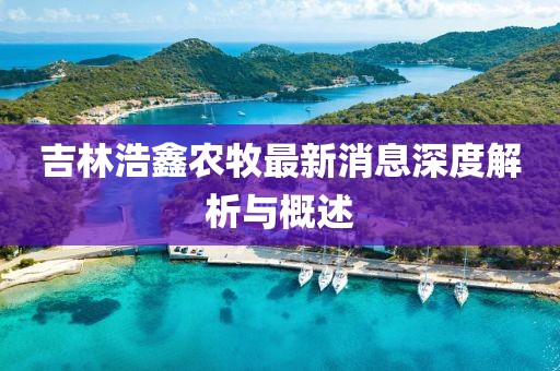 吉林浩鑫農(nóng)牧最新消息深度解析與概述