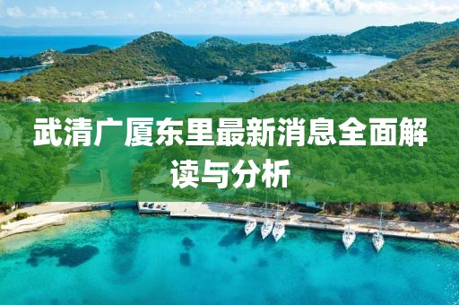 武清廣廈東里最新消息全面解讀與分析