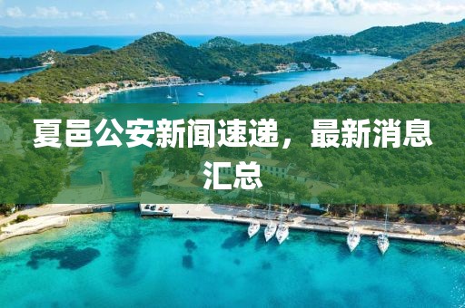 夏邑公安新聞速遞，最新消息匯總