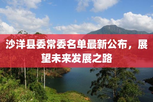 沙洋縣委常委名單最新公布，展望未來發(fā)展之路