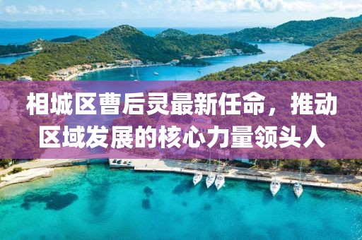 相城區(qū)曹后靈最新任命，推動區(qū)域發(fā)展的核心力量領(lǐng)頭人