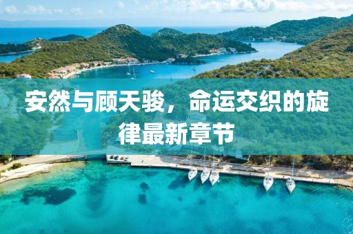 安然與顧天駿，命運(yùn)交織的旋律最新章節(jié)