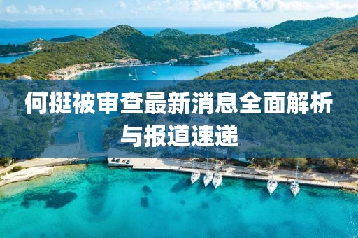 何挺被審查最新消息全面解析與報(bào)道速遞