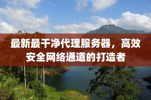最新最干凈代理服務(wù)器，高效安全網(wǎng)絡(luò)通道的打造者