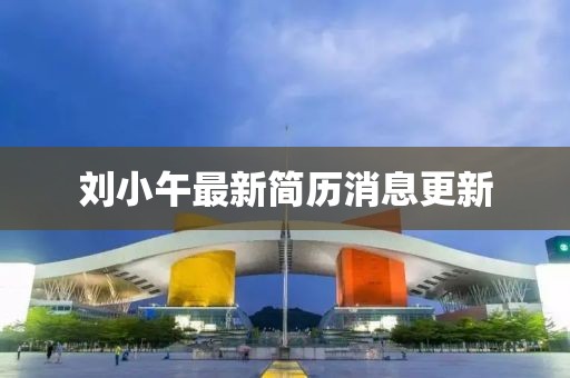 劉小午最新簡(jiǎn)歷消息更新