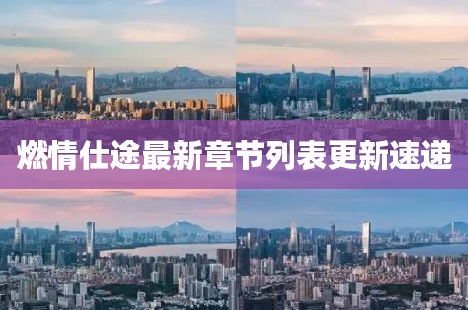 燃情仕途最新章節(jié)列表更新速遞