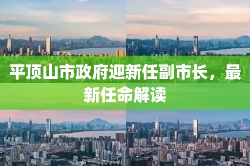 平頂山市政府迎新任副市長(zhǎng)，最新任命解讀