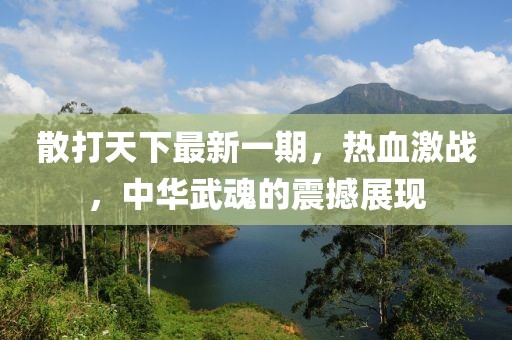 散打天下最新一期，熱血激戰(zhàn)，中華武魂的震撼展現(xiàn)