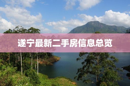 遂寧最新二手房信息總覽