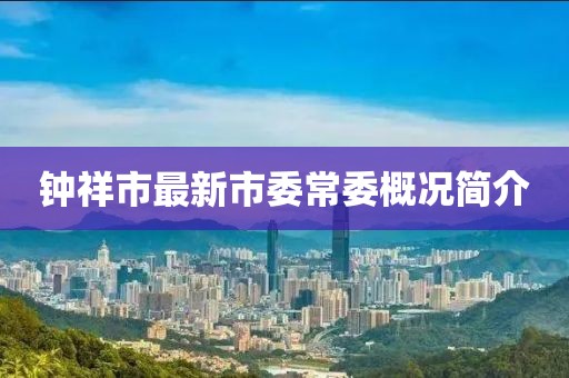 鐘祥市最新市委常委概況簡(jiǎn)介