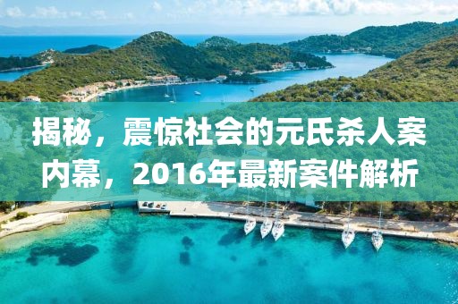 揭秘，震驚社會的元氏殺人案內幕，2016年最新案件解析