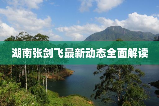 湖南張劍飛最新動態(tài)全面解讀