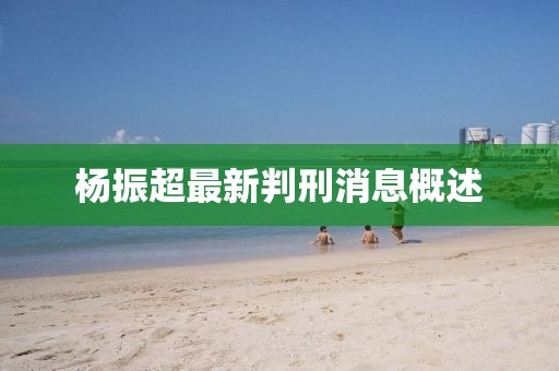 楊振超最新判刑消息概述