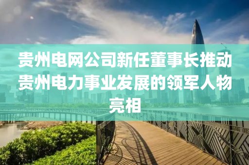 貴州電網(wǎng)公司新任董事長推動貴州電力事業(yè)發(fā)展的領(lǐng)軍人物亮相