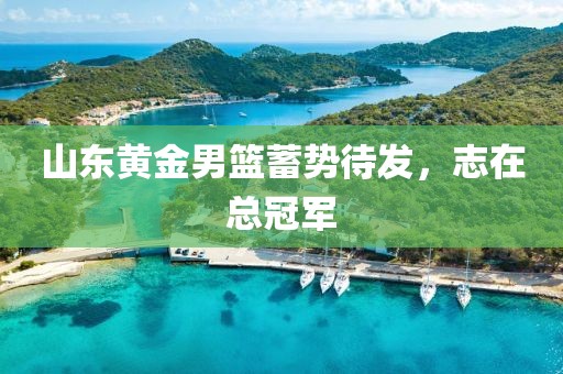 山東黃金男籃蓄勢(shì)待發(fā)，志在總冠軍