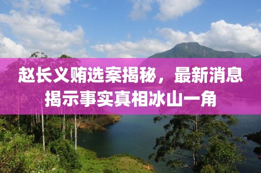 趙長義賄選案揭秘，最新消息揭示事實真相冰山一角