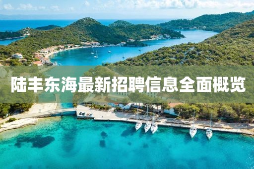 陸豐東海最新招聘信息全面概覽