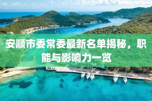 安順市委常委最新名單揭秘，職能與影響力一覽
