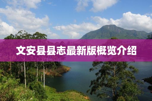 文安縣縣志最新版概覽介紹