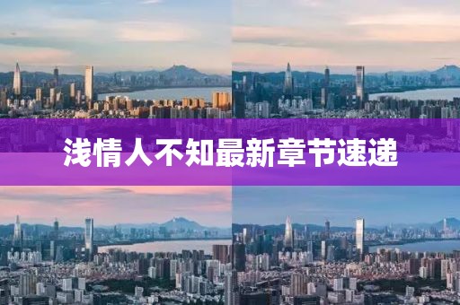 淺情人不知最新章節(jié)速遞