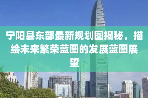 寧陽縣東部最新規(guī)劃圖揭秘，描繪未來繁榮藍(lán)圖的發(fā)展藍(lán)圖展望