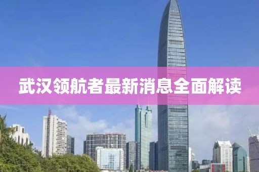 武漢領(lǐng)航者最新消息全面解讀