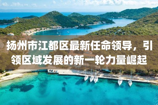 揚(yáng)州市江都區(qū)最新任命領(lǐng)導(dǎo)，引領(lǐng)區(qū)域發(fā)展的新一輪力量崛起