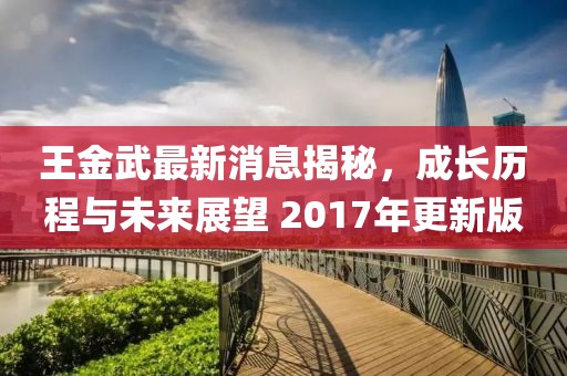 王金武最新消息揭秘，成長(zhǎng)歷程與未來(lái)展望 2017年更新版