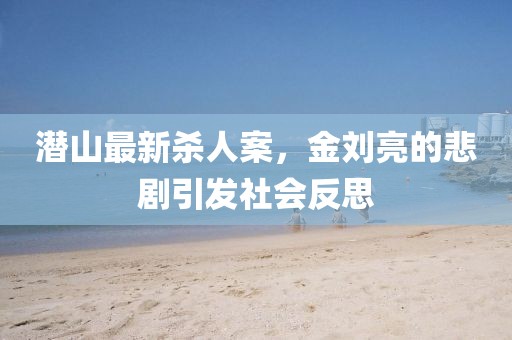 潛山最新殺人案，金劉亮的悲劇引發(fā)社會反思