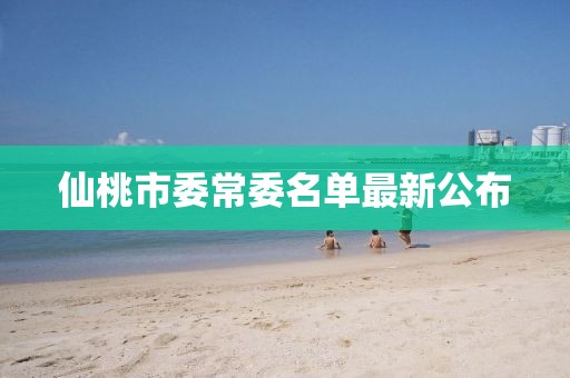 仙桃市委常委名單最新公布