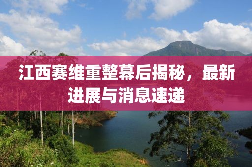 江西賽維重整幕后揭秘，最新進(jìn)展與消息速遞