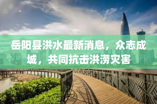 岳陽縣洪水最新消息，眾志成城，共同抗擊洪澇災害