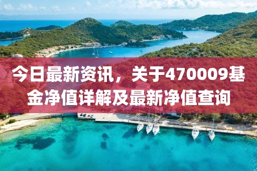 今日最新資訊，關(guān)于470009基金凈值詳解及最新凈值查詢