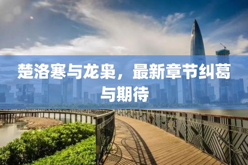 山河 第17頁(yè)
