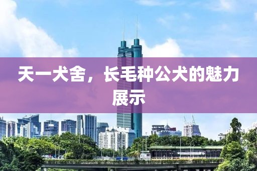 天一犬舍，長毛種公犬的魅力展示
