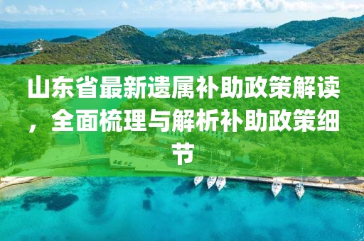 山東省最新遺屬補助政策解讀，全面梳理與解析補助政策細節(jié)