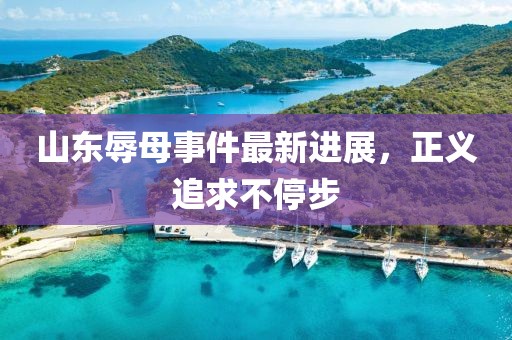 山東辱母事件最新進展，正義追求不停步
