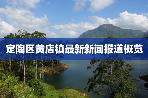 定陶區(qū)黃店鎮(zhèn)最新新聞報道概覽